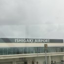 가자 펫 택시 | [일상] 신혼여행 어디 다녀왔어? 어어 나 오키나와 안에 있는 이시가키 섬이라고•• 더보기