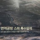 면역공방수지점 이미지