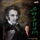 시립합창단 정기연주회 이미지