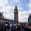 화이트민박 이미지