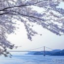 남해 그곳 이미지