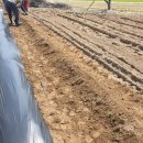 깨골농장 이미지