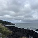 엄마랑 싸우고 제주도로 가출한 백수 2일차(탕진함) 이미지