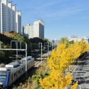 구미역관광안내소 이미지