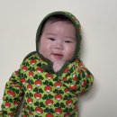 던스 순무 보넷 바디수트 74사이즈 팁 5개월 아기 옷 추천 풀레브 구매 후기