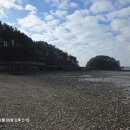 퀸스비치 이미지