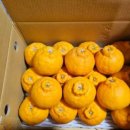 파란풍차 이미지