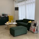 제리펫 | 대구고양이미용 밀꼬냥 성향 맞춤 미용으로 제리도 만족한 재방문 후기