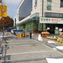 놀스타 이미지