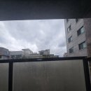 홍대하늘공인중개사사무소 | 관악구부동산 알아보며 방문한 하늘공인중개사사무소 이야기