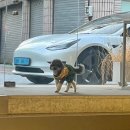 대구 북구 대천로18길 14-22 | 새해와 생일