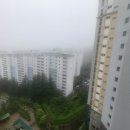 새한부동산공인중개사사무소 이미지