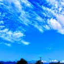 초원세탁소 이미지