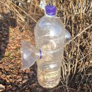 평창 별이빛나는밤에 이미지