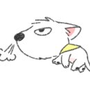 디스크독연구소 이미지