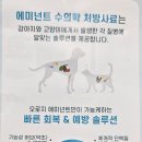 밸런스펫츠 이미지