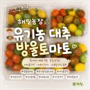 해밀2농장 네이버블로그