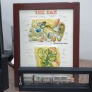 독일보청기부천센터 이미지