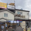 논골민박 | 묵호 논골담길에서 시간을 다 써버린 이유 테라스 뷰에 막걸리 주전자까지 완벽했던 등대쉼터 후기