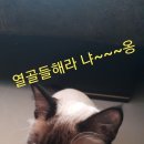 민현 골프연습장 이미지