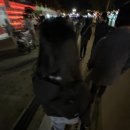 부경수지 이미지