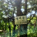 형제봉 이미지