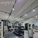 아일랜드짐 이미지