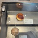 6906 | 판교 블루보틀｜아브뉴프랑 분위기 좋은 판교 카페 솔직후기