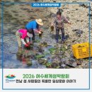 세계의 차문화 | 2026 여수 세계섬박람회 | 전남 섬 사람들의 특별한 일상문화 이야기