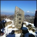 오*대 이미지