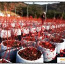 세근농장 이미지