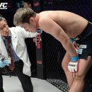 코리아타이거체육관 이미지