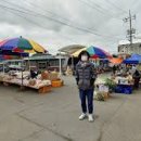 영암5일시장 이미지