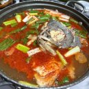 [포항] 죽도시장 모듬회 '형제횟집' 내돈내산 솔직 후기 주차정보
