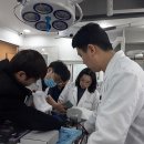 기계동물병원 이미지