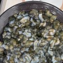 마산수산시장 | 창원/마산남성동) 수산시장계의 신세계! 마산어시장 수산시장 방문후기 · 해삼손질방법