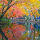 대웅농장 | 고창 선운사 단풍 명소 전북 고창 가볼만한곳