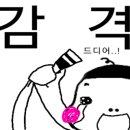 거창주짓수 이미지