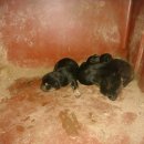 솔이농장 이미지