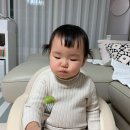 곱디고은 네이버블로그