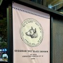 테크니컬 퍼포먼스 < No Title > | 2025 올해의앨범 결산 &amp; 갓스피드유! 내한 공연 후기