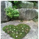 큰골민박 이미지