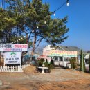 초정바베큐캠프 이미지