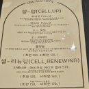 리웨이브 이미지