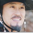 뿌리깊은 나무 이미지