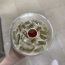 스타벅스 네오 쿨 테이스티 매실 피지오 가격 실물 후기
