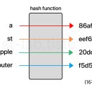 해시(hash) 이미지