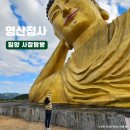 영산정사 성보박물관 | 경남 사찰 세계 최대와불 사명대사유적지 밀양 영산정사 ft. 성보박물관