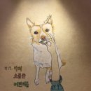 느낌있개 이미지