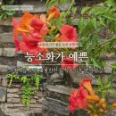 학동마을 | 경남 고성 가볼 만한 곳, 능소화가 예쁜 학동마을 옛담장길과 수련